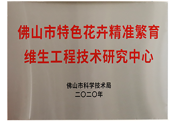 佛山市特色花卉精准繁育男男车车的车车动漫工程技术研究中心